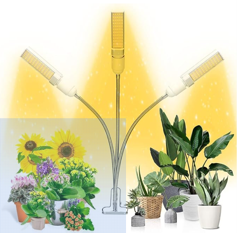 grow light for air plant